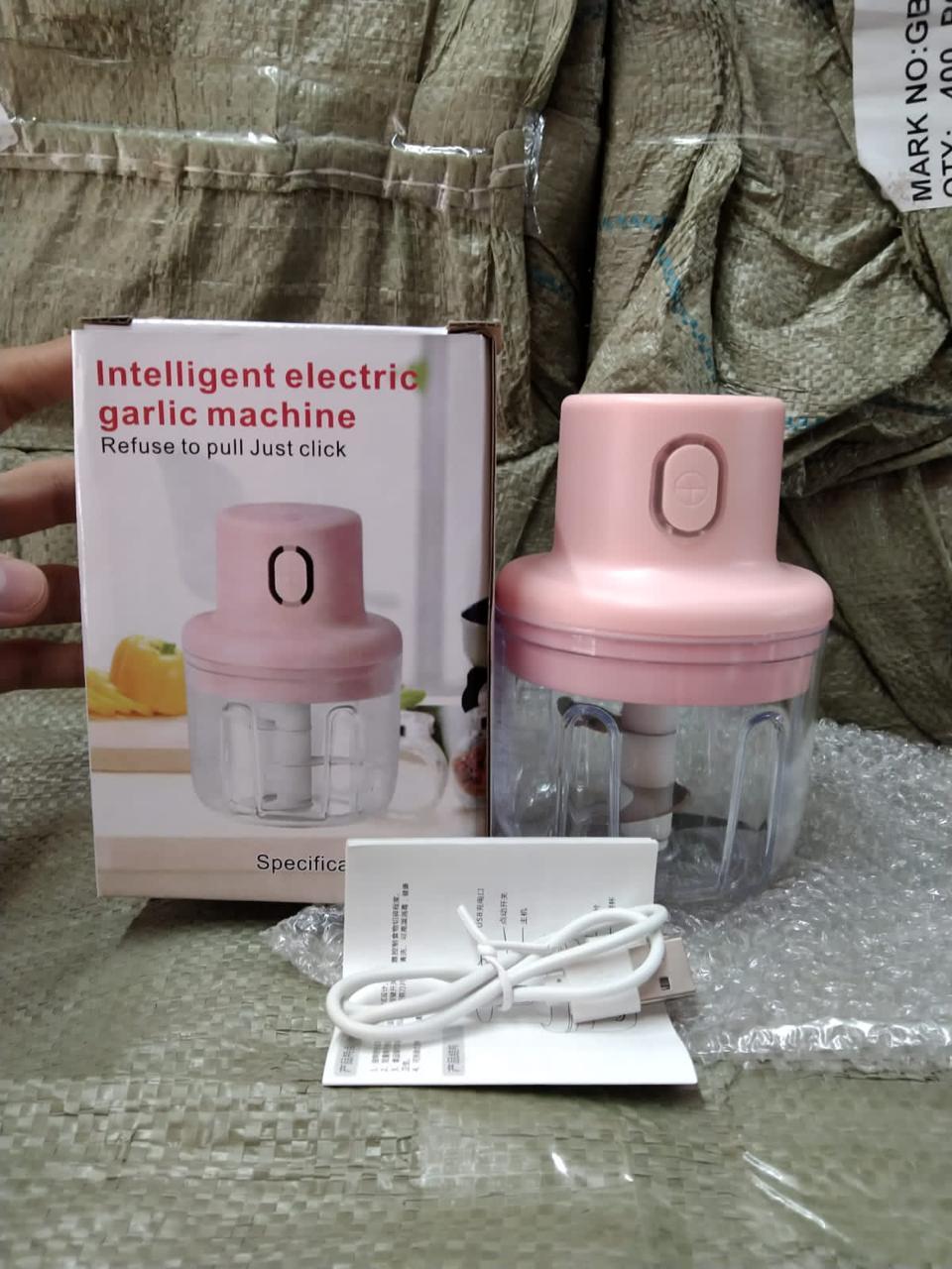 Electric Mini Chopper - 250ml
