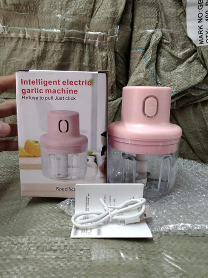 Electric Mini Chopper - 250ml